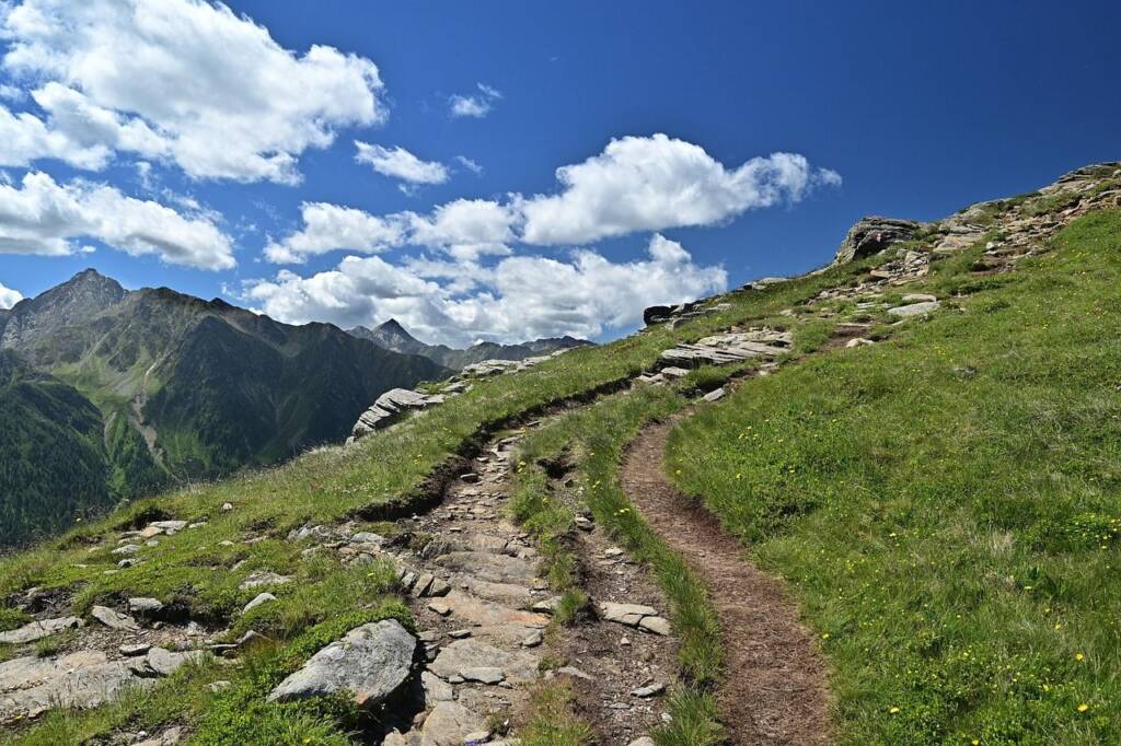 Bergweg durch grüne Wiesen mit Alpenblick